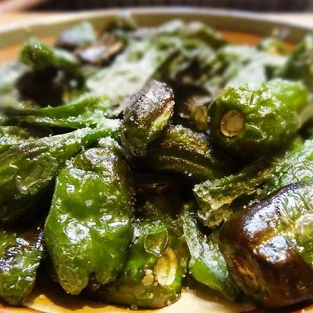 게스트하우스 Casa Tia Teresa